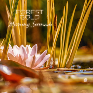 吃女王主人拉的大便
