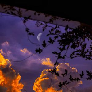 吃女王主人拉的大便
